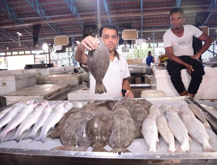 بازار ماهی فروشان یکی از بازارهای جذاب بندر عباس 4521025242120
