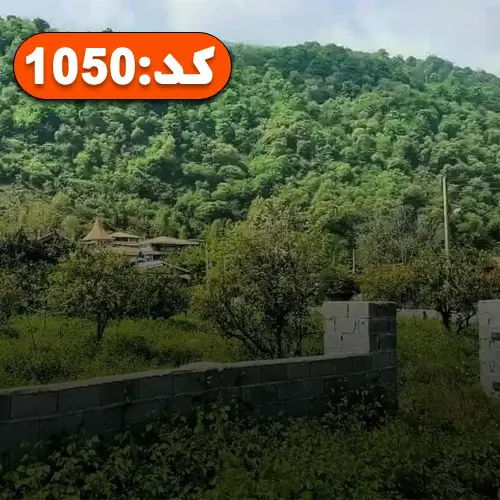 محوطه و درختان سرسبز در اطراف زمین در بندرلنگه 512