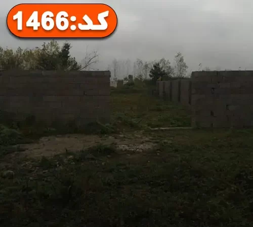 محوطه سرسبز و بلوک کشی شده زمین مسکونی در بندر عباس
