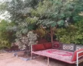 تخت و محوطه سنگ فرش شده و سرسبز محوطه خانه روستایی در بندرلنگه